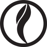 Divine Hair Studio Logo